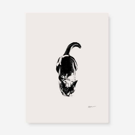 Nanoshima | 05 | Fine Art Print