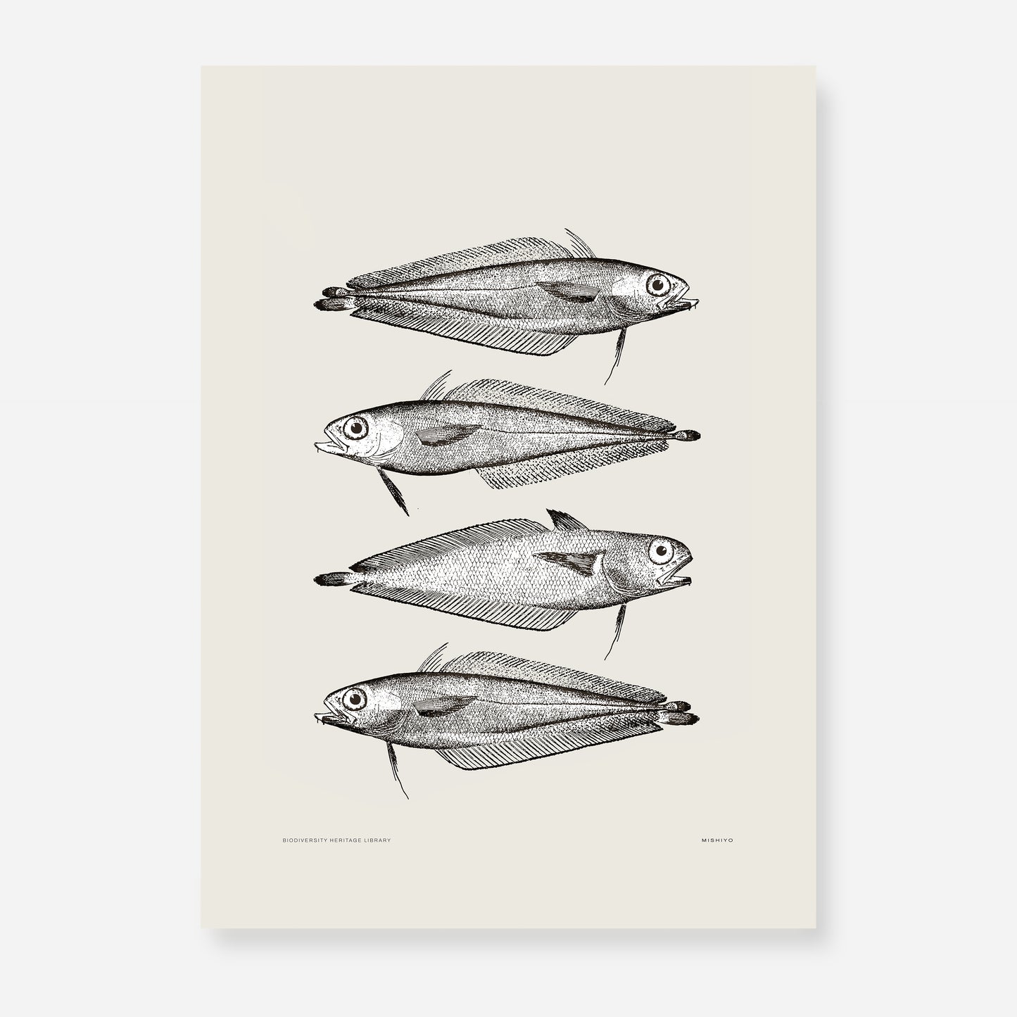 Pisces | 14 | Fine Art Print