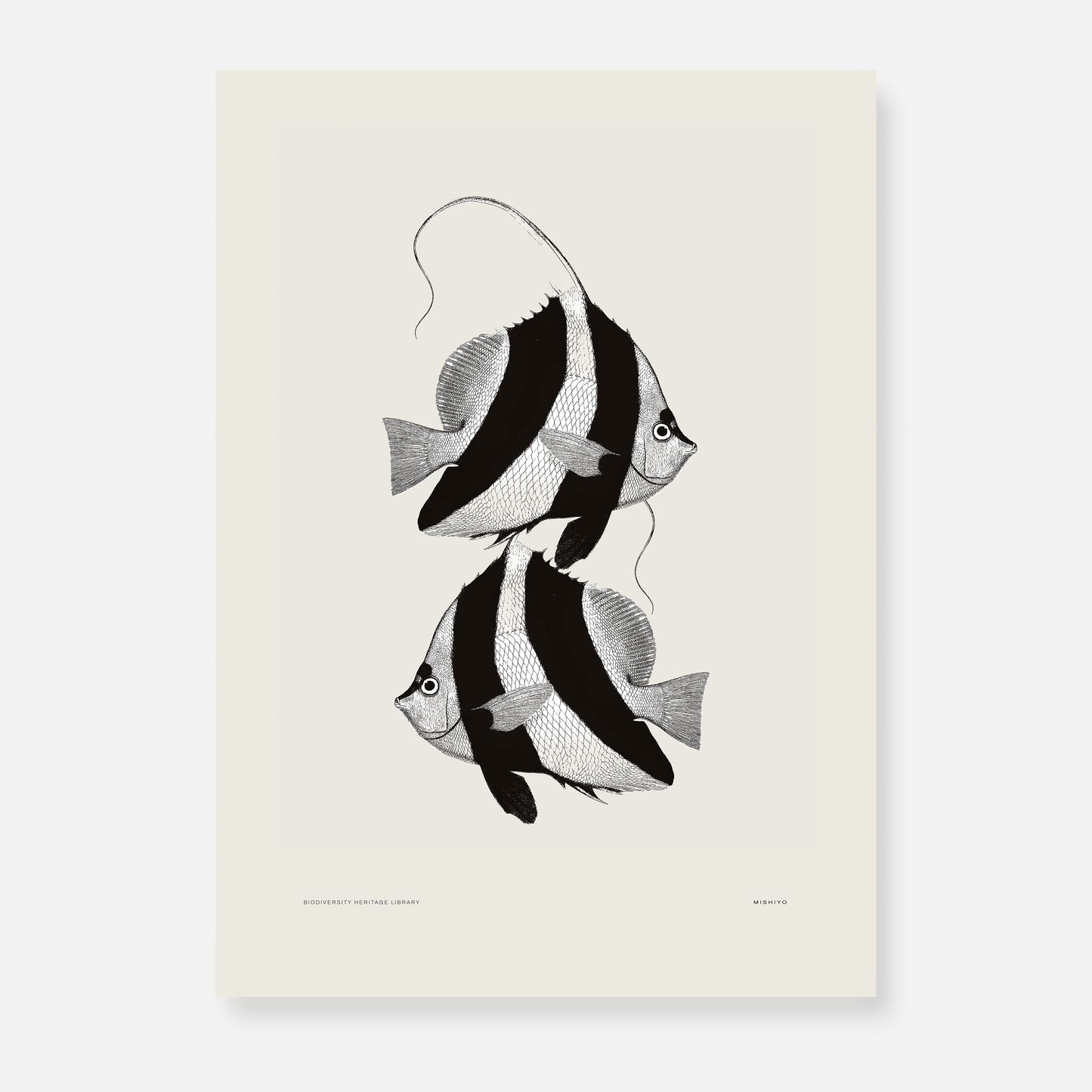 Pisces | 01 | Fine Art Print