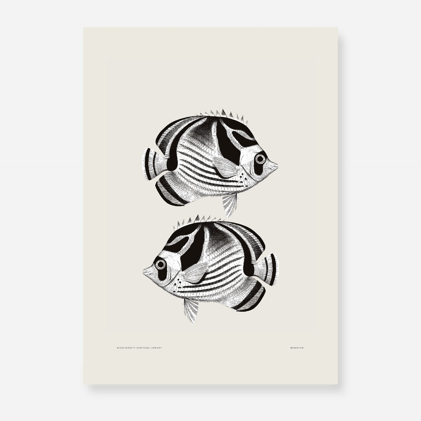 Pisces | 02 | Fine Art Print
