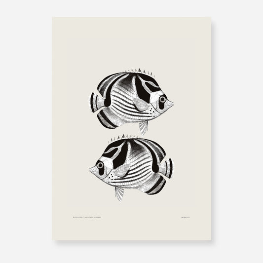 Pisces | 02 | Fine Art Print