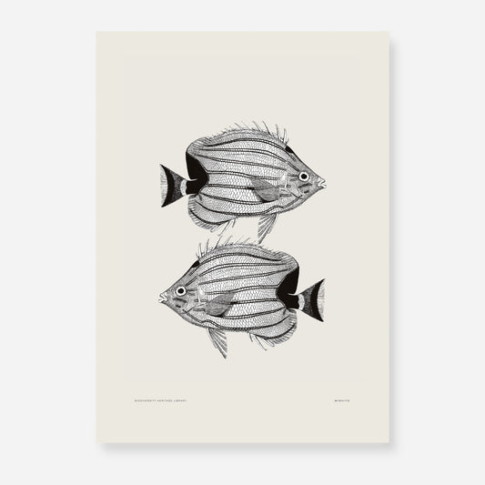 Pisces | 03 | Fine Art Print