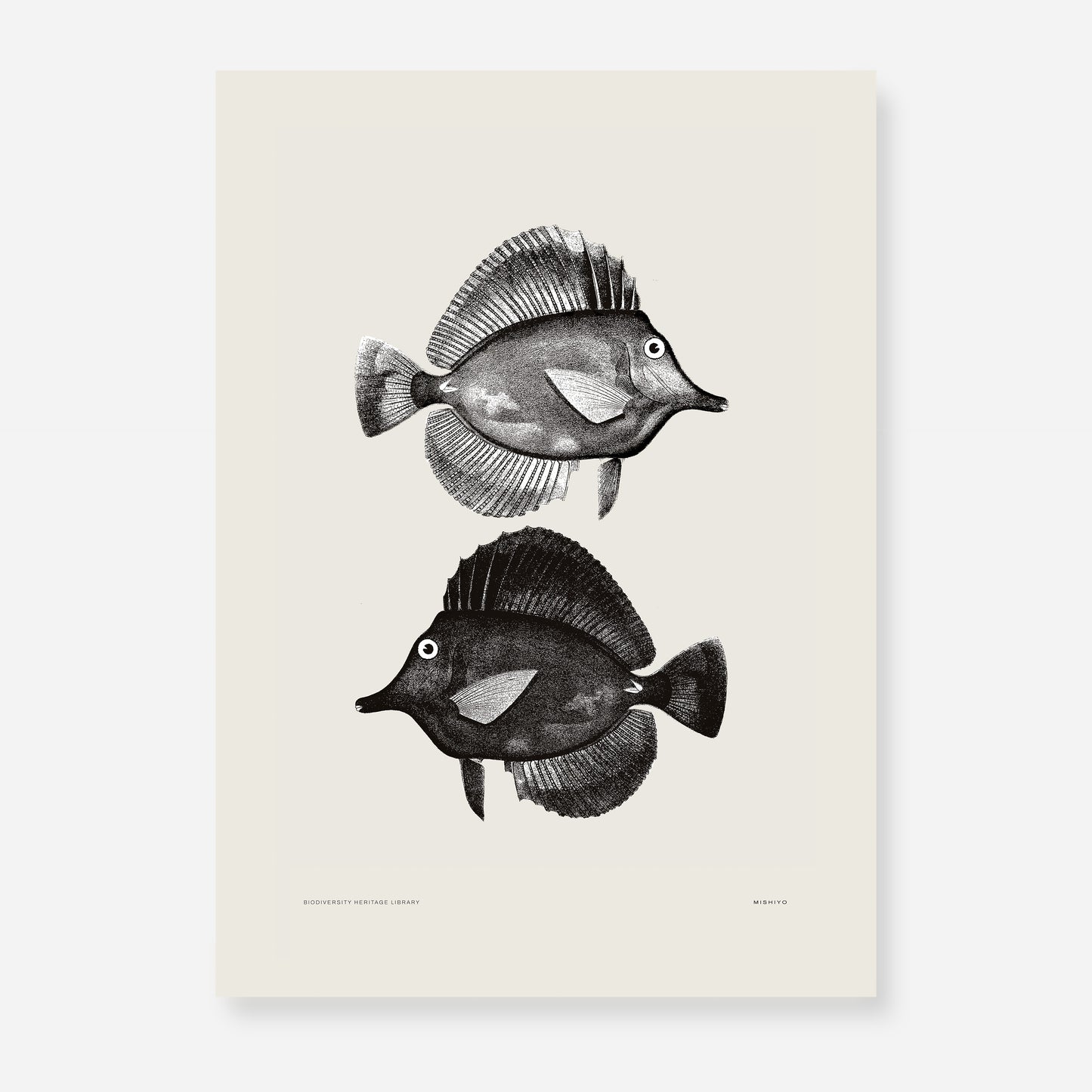 Pisces | 09 | Fine Art Print